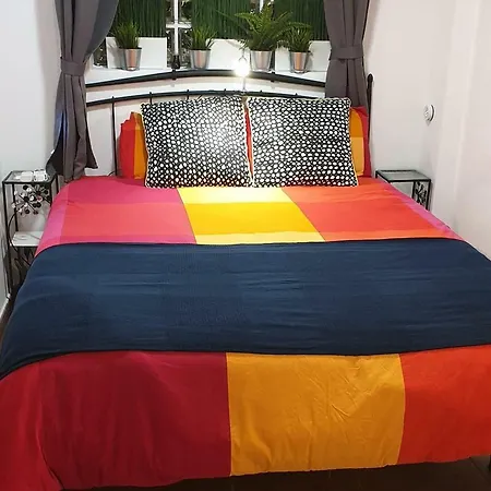 Homestay Dreams